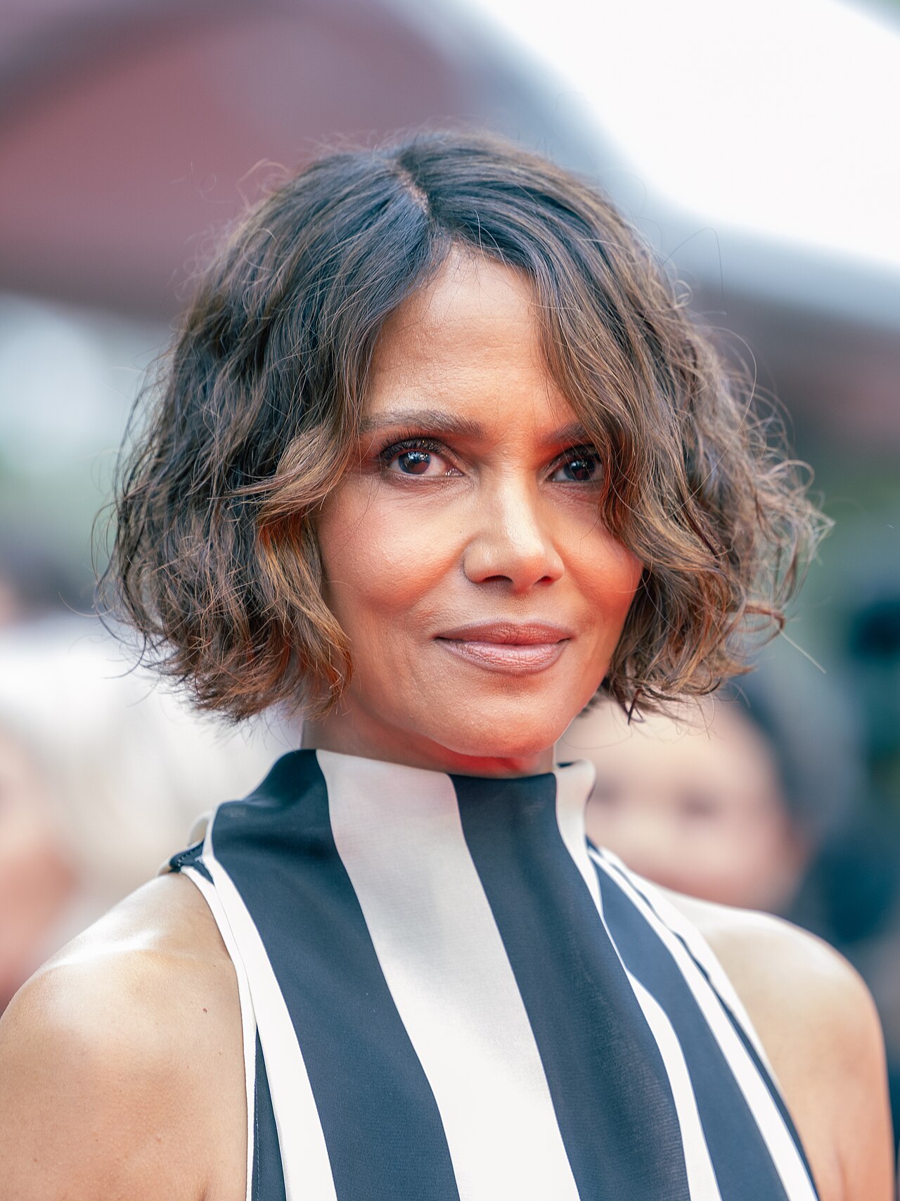 About Halle Berry (actress)