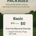Memorial Packages (Basic) 174 copilot image 1754523124963