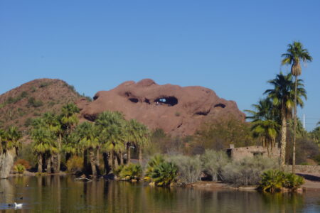 Phoenix AZ