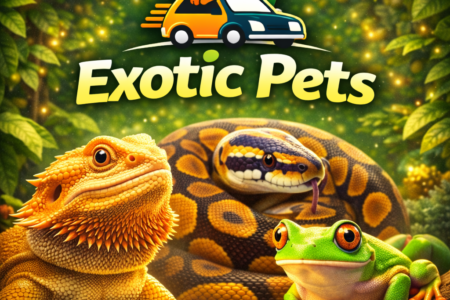 🦎 Exotic Pets
