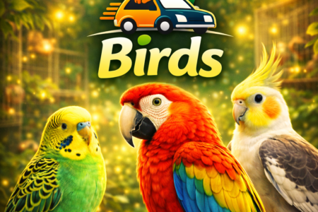 🦜 Birds