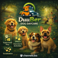 💩 DuuBer Pet Waste 16 file 0000000063d871f5b47fbc6a6bedcbe7 2