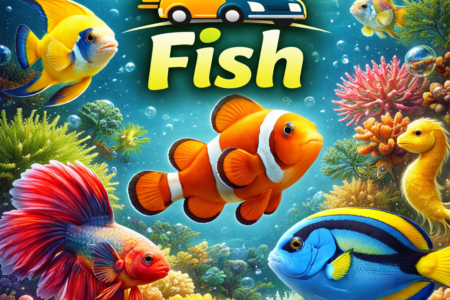 🐠 Fish