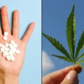 Legalize marijuana linked to significant reduction in opiate overdose 60 1000022328