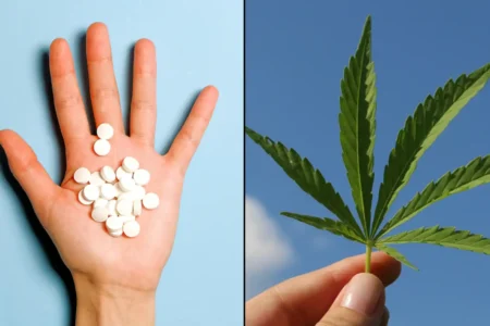 Legalize marijuana linked to significant reduction in opiate overdose
