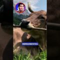 estas son las 5 buenas noticias y mas para comentar hoy sPm8AI