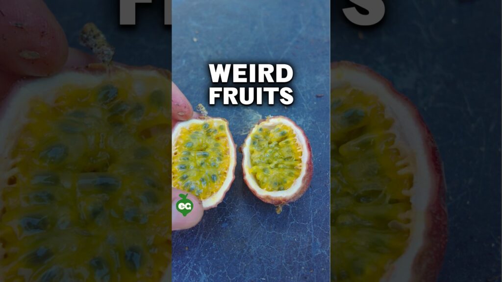 i grew some really weird fruits GALcy5
