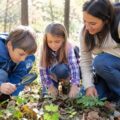 todays tip be a family fun detective 9LYWtn