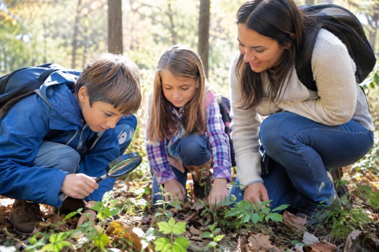 todays tip be a family fun detective 9LYWtn