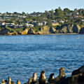 San Diego California Channel 1338 La Jolla Shores view 28cropped29 3