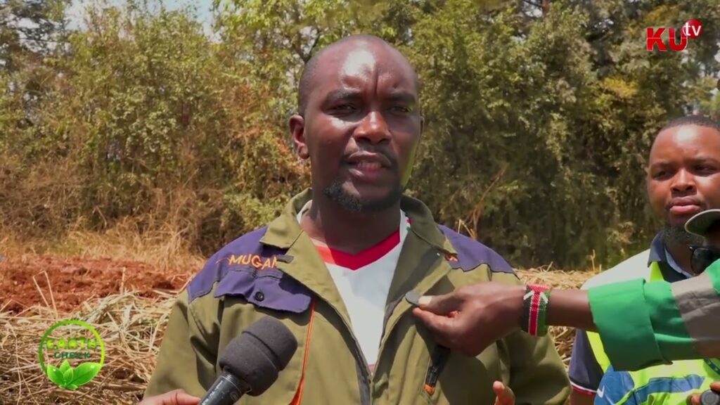 earth check restoring green spaces protecting public land at githurai peoples park gklqvG