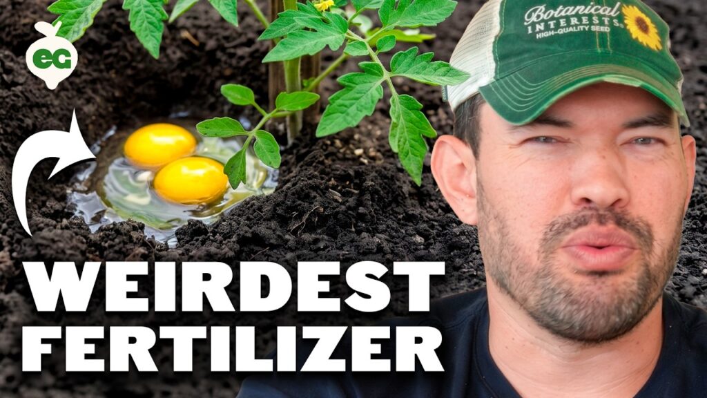 everything you can bury under crops ranked 0iFiqx