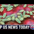 fox live stream fox friends october07 2026 breaking news todaytrump news live hd DieZow