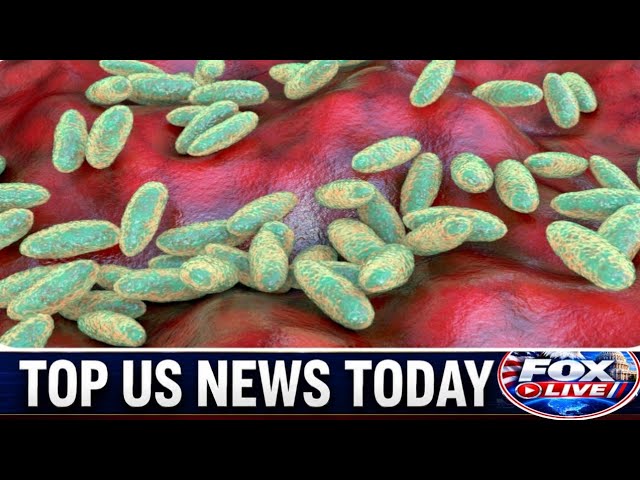 fox live stream fox friends october07 2026 breaking news todaytrump news live hd DieZow
