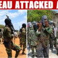 fresh plateau bloodshed as community guards are attacked during night watch GaZNag