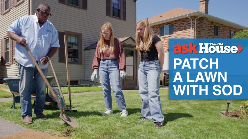 how to patch a lawn with sod ask this old house MZCdq1