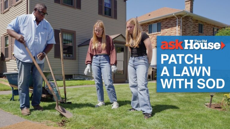 how to patch a lawn with sod ask this old house MZCdq1