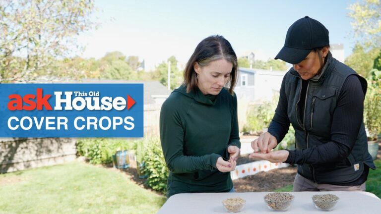 how to plant cover crops ask this old house EqbWim