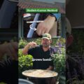 i tested viral carrot growing hacks QB4EC5