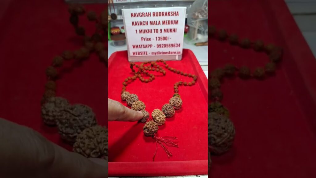 navgrah rudraksha kavach mala 1 mukhi to 9 mukhi price 13500 whatsapp 9920569634 ZMwdMd